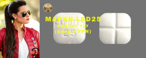 ECSTASY Алзамай