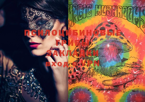 ECSTASY Алзамай