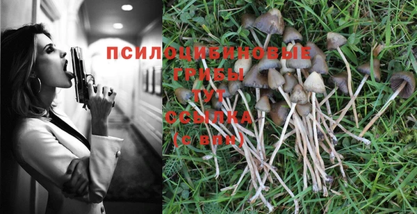 ECSTASY Алзамай